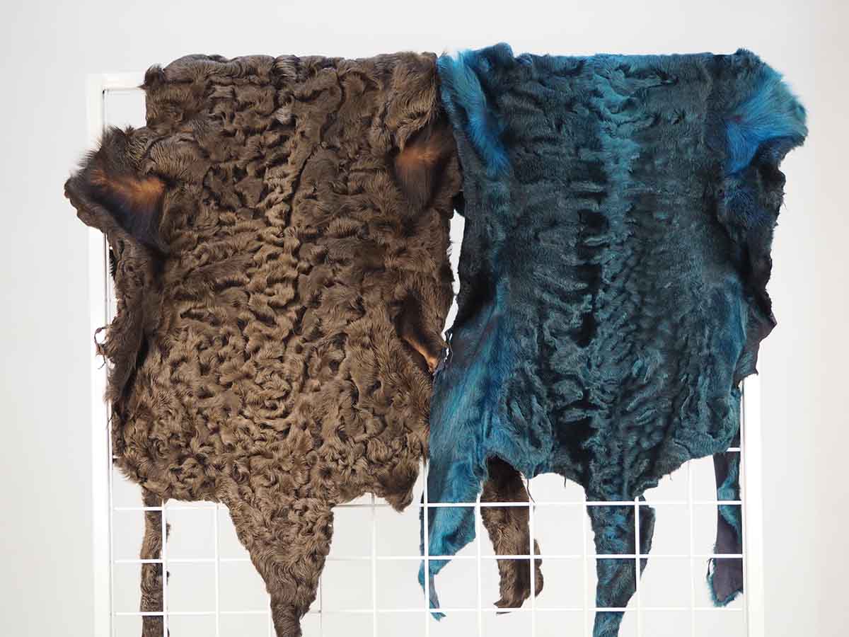 Каракуль и его уникальность