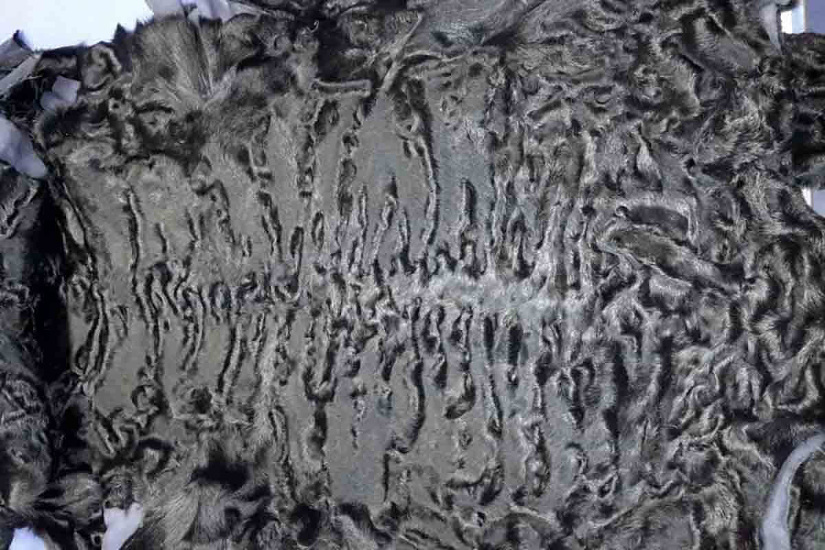 Каракуль и его уникальность