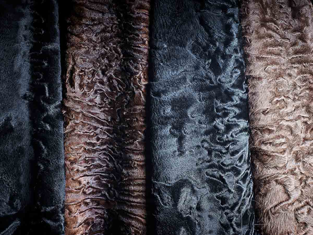 Каракуль и его уникальность