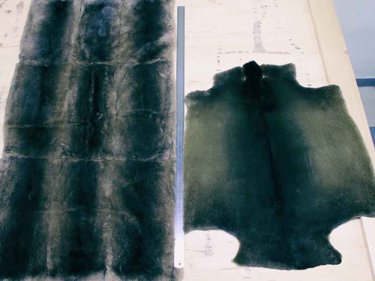 Ателье и интернет-магазины